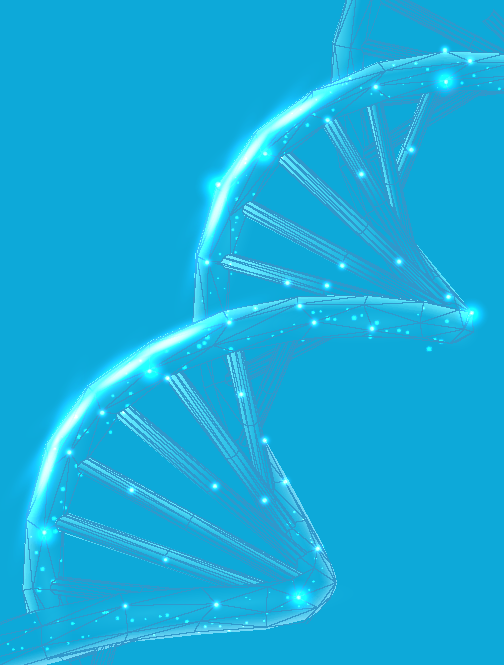 dna3-01-01-01